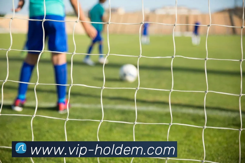 多媒体互动体验